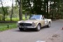 Thumbs/tn_Aircooled Bergharen 2018 026.jpg